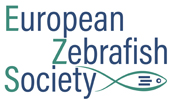 European Zebrafish Society Logo