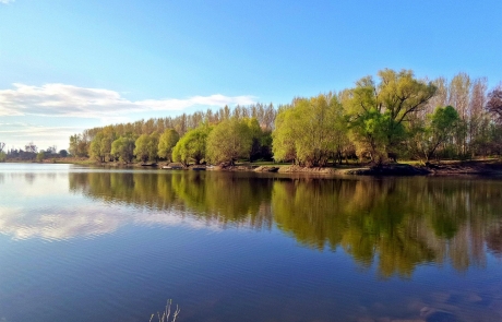danube backwaters